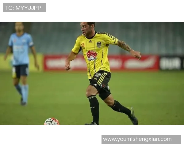 墨尔本胜利与西联精彩对决直播全程回顾与分析